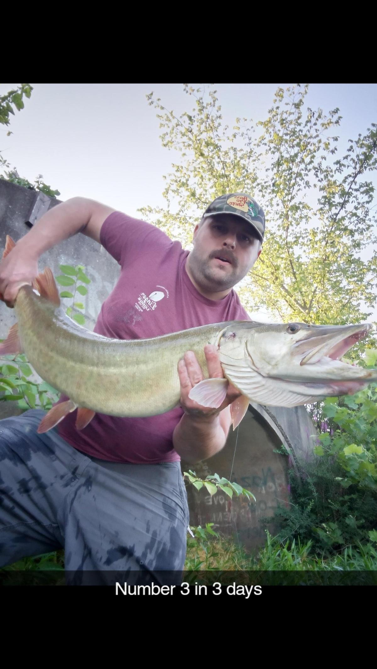 glide bait shore musky