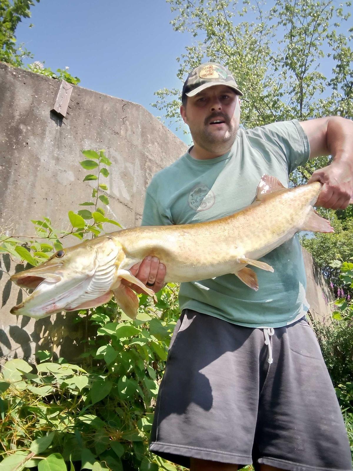 shore fish on a suick