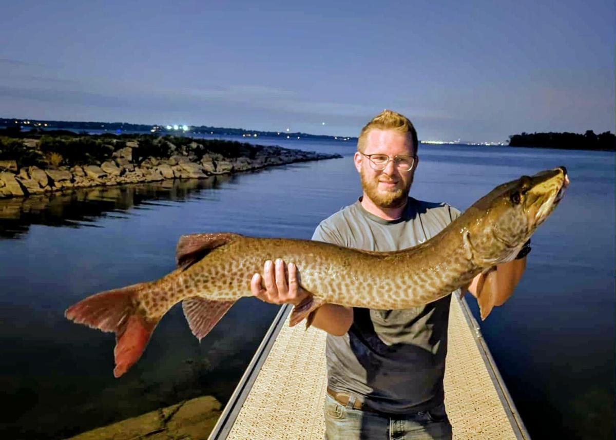 suick weagle in black and orange