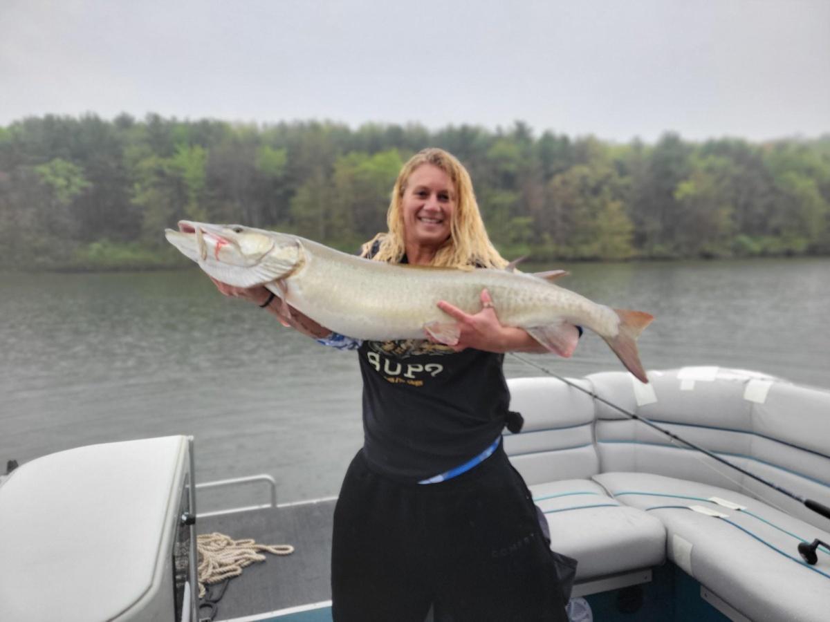 we stuck it out through the pouring down rain and landed this 45in musky! the purple tiger depth raider for the win