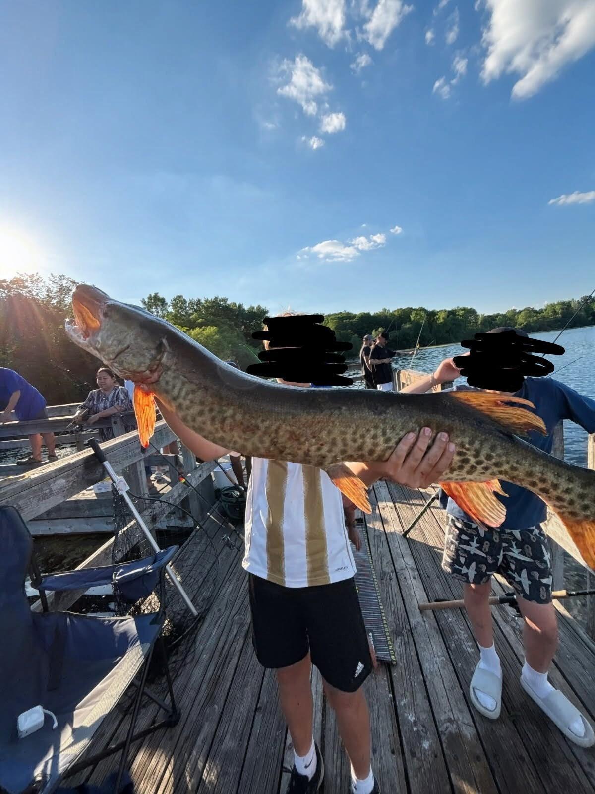 42 incher 