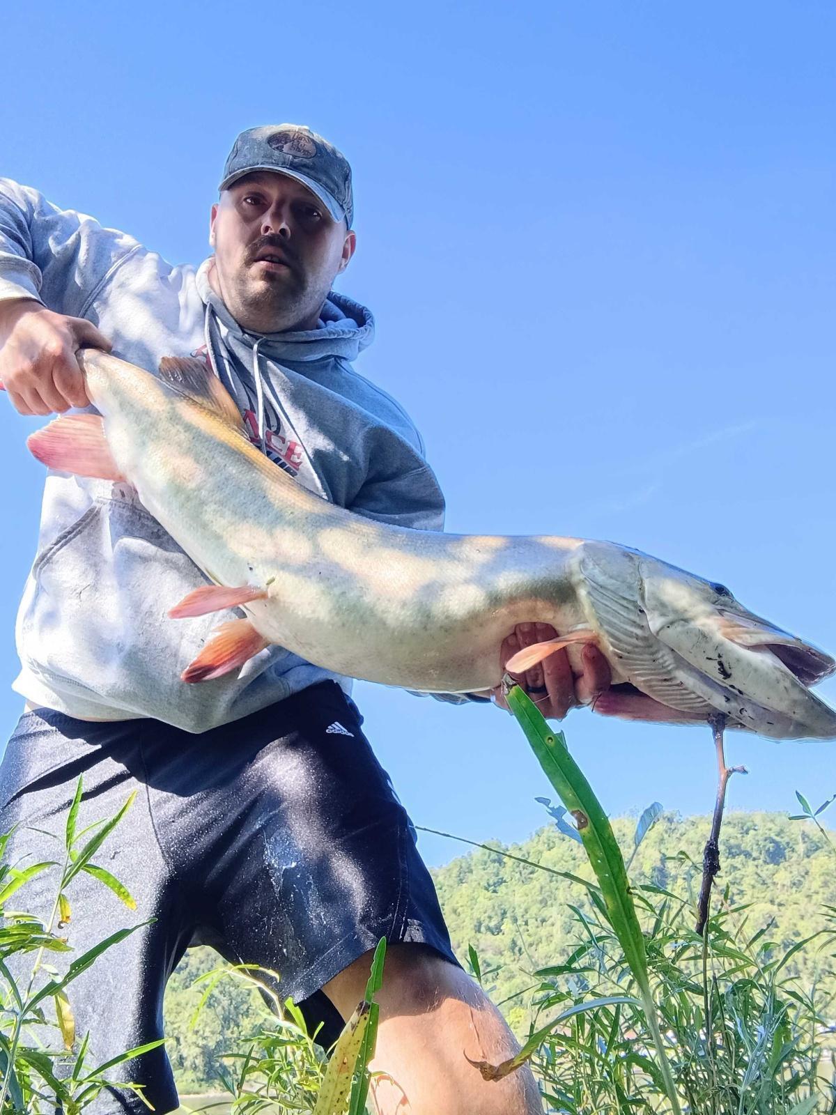 shore fish on a red October tube