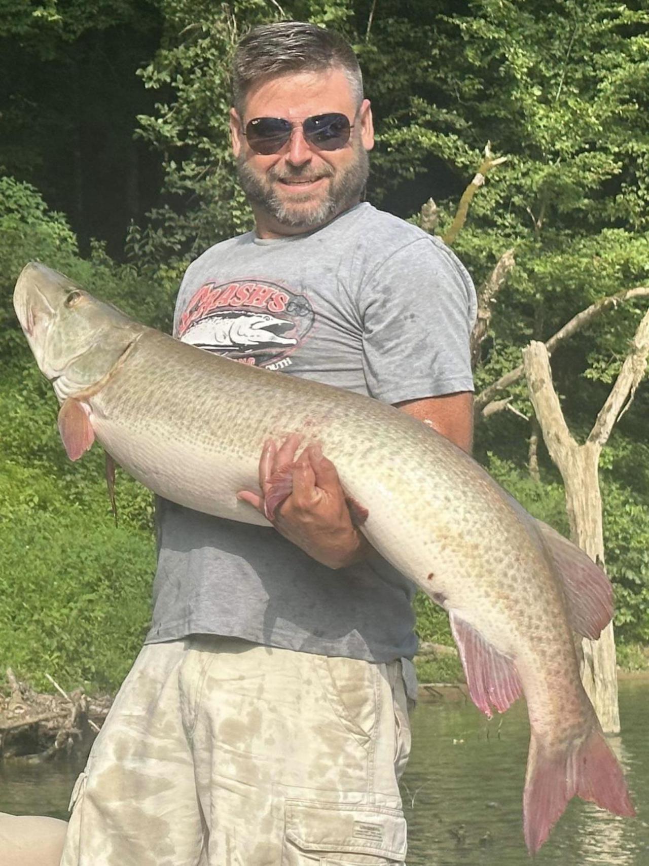 50 caught Buckhorn Lake, Kentucky.