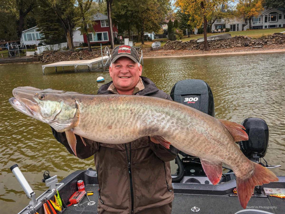 Green Bay - Early October.Great Lakes Musky