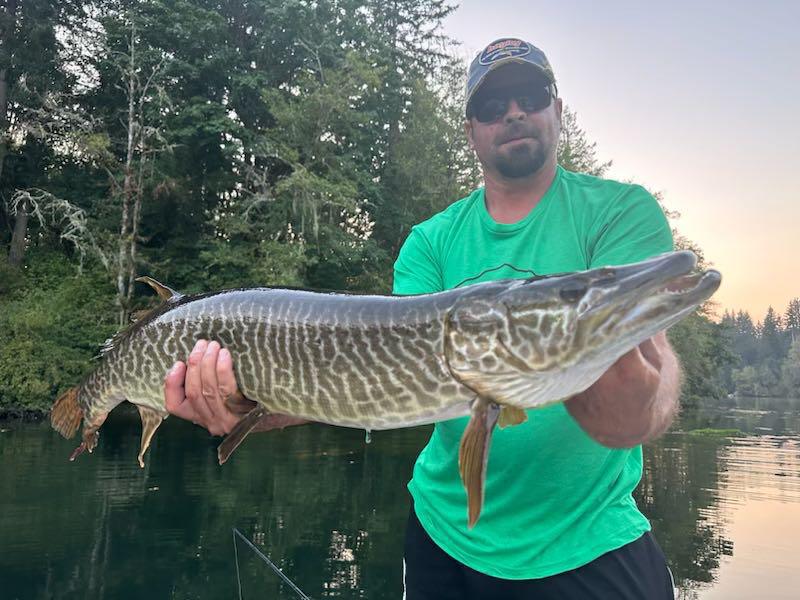 Wa. Mepps Muskie killer