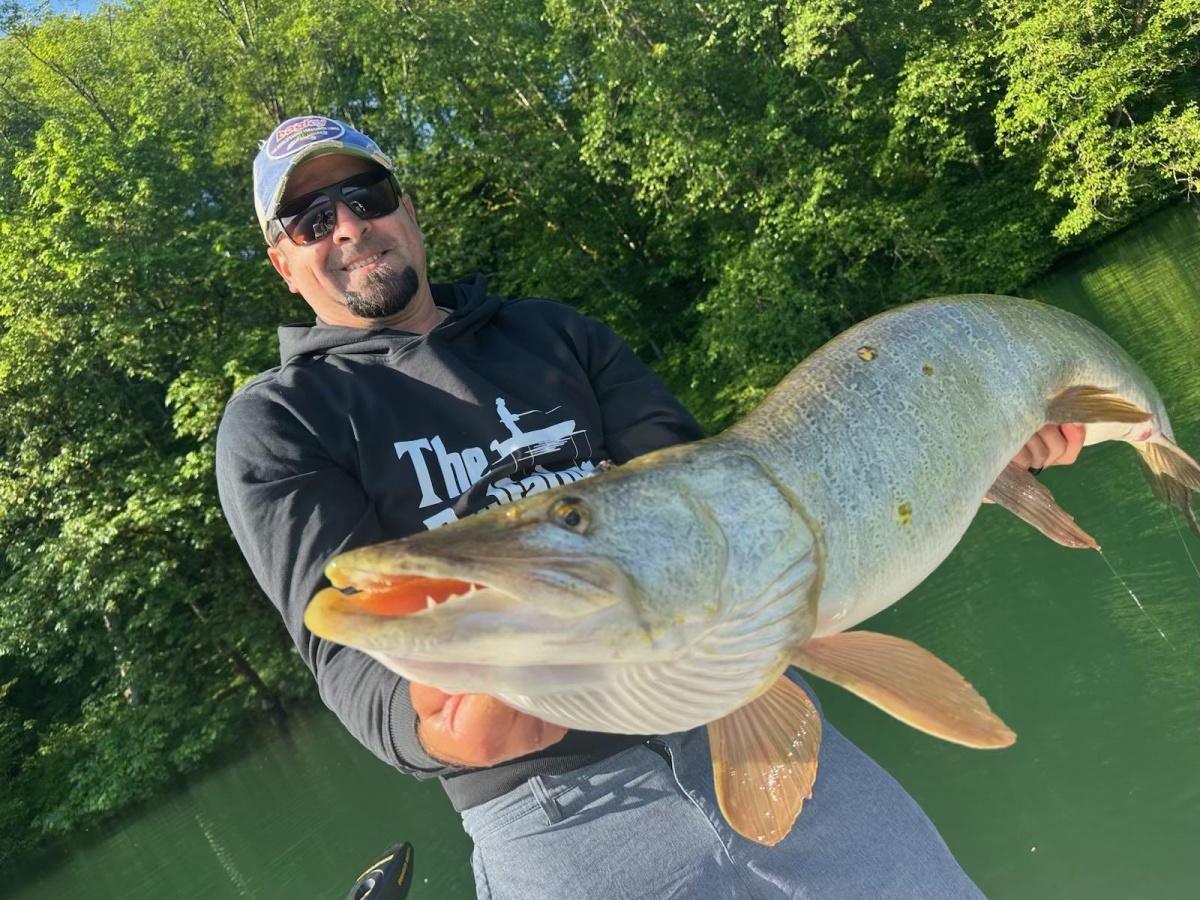 Washington Muskt 46