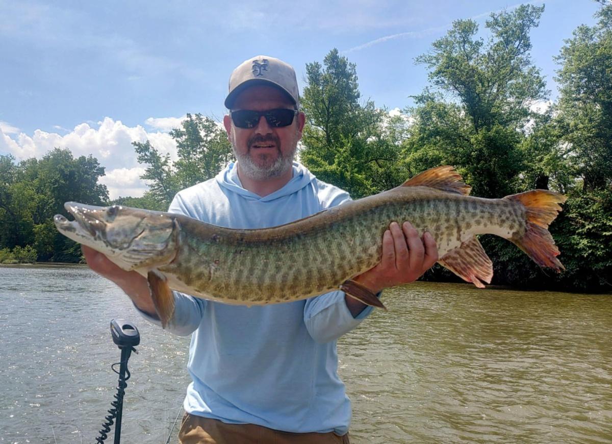 Caught on a whopper plopper 190 on the Susquehanna River
