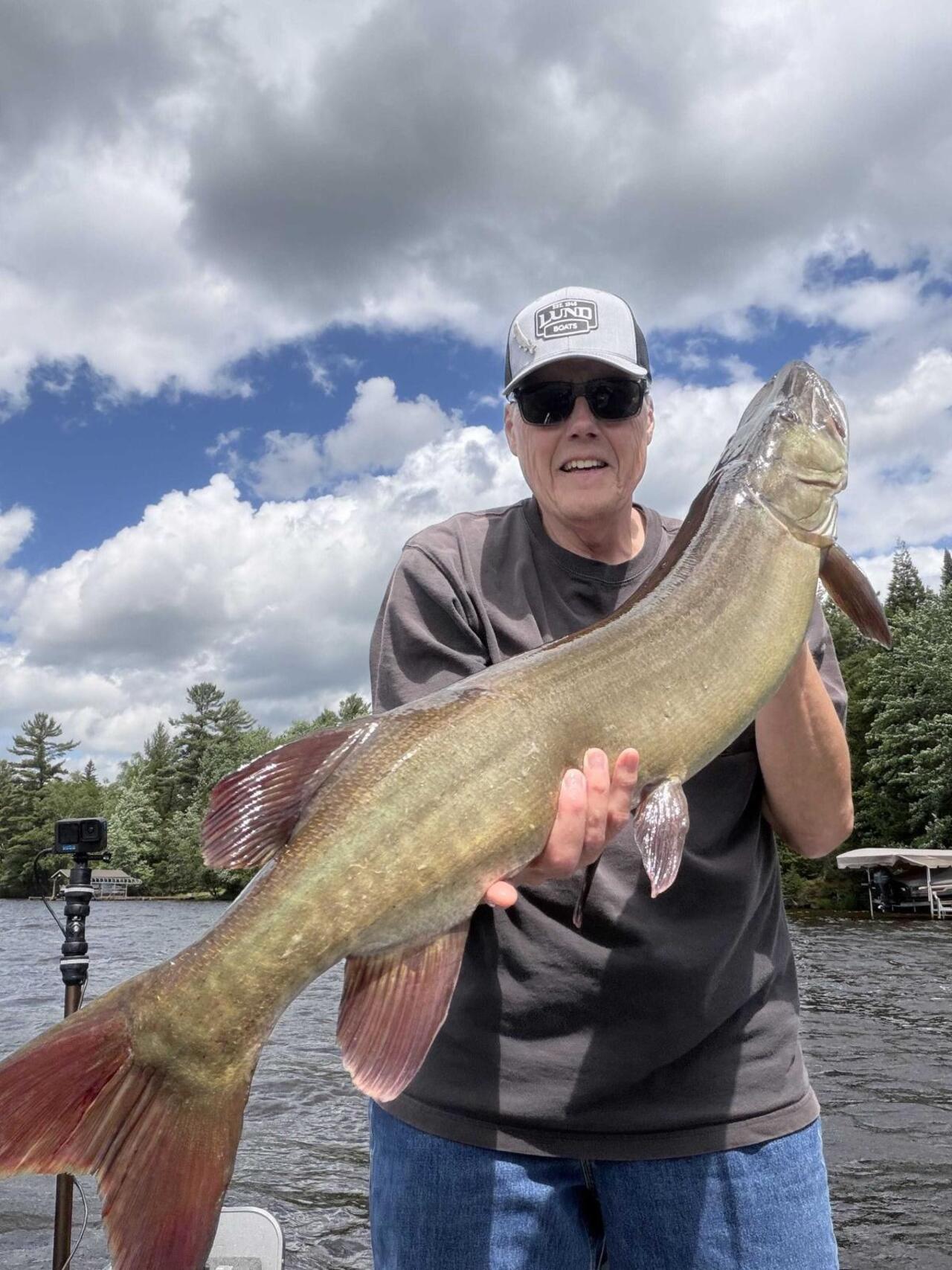 45 inch musky caught in Vilas county. Caught casting a Bucher 500 tinsel. June 2026
