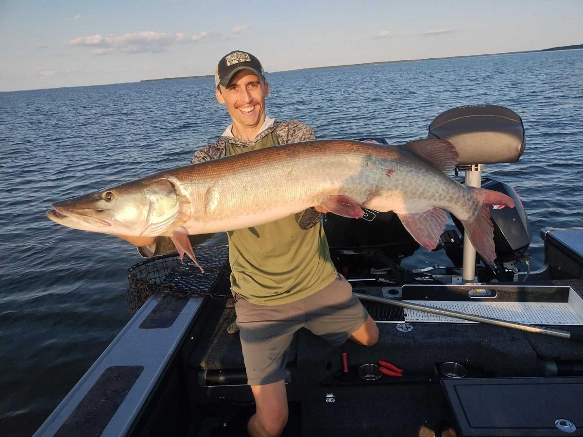 50 Blondie caught on Zilla Baits Gladiator