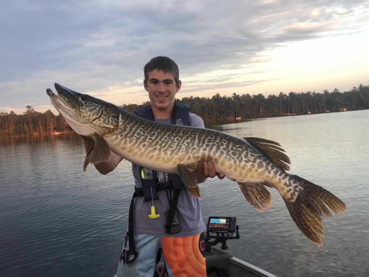 42 inch tiger