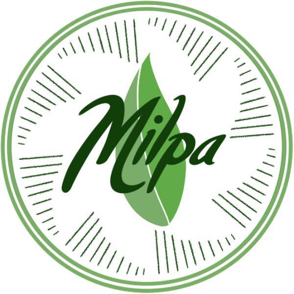 Milpa is Your Neighbor's Favorite Local Cafe by @cb.lasvegas