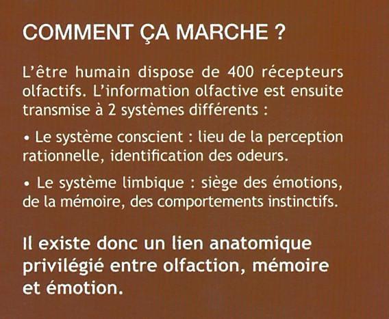 Olfactothérapie - Promo 