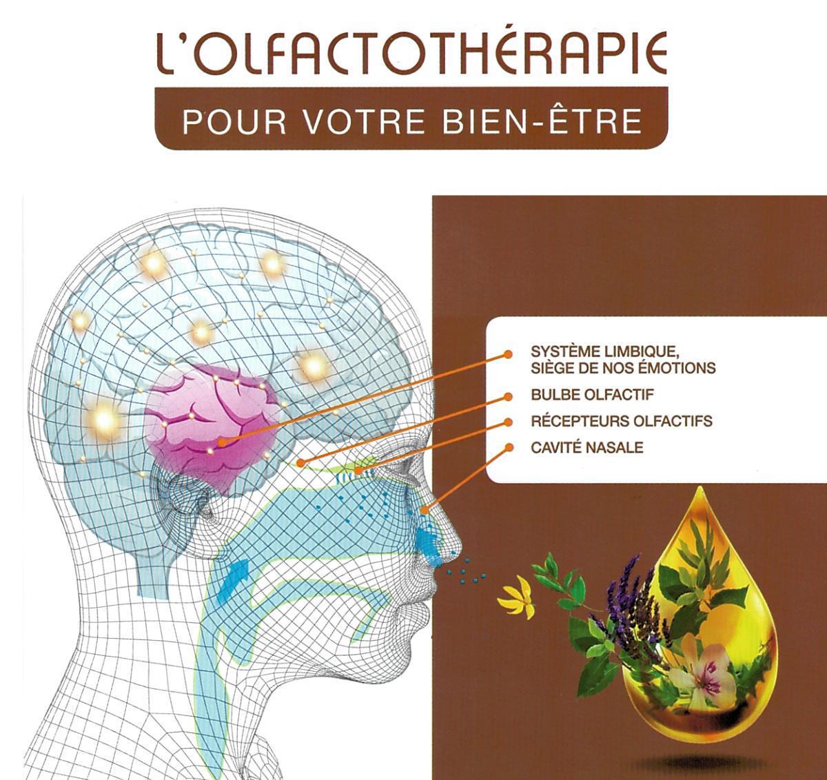 Olfactothérapie - Promo 