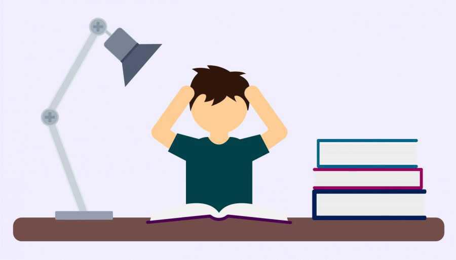 Midterm Mania Midterm Mania