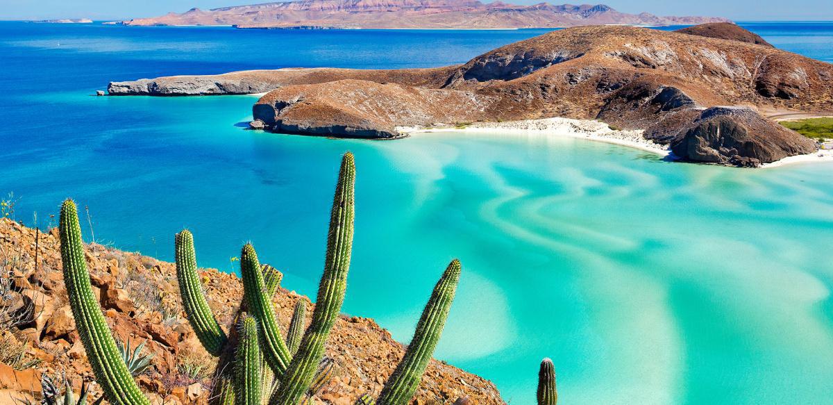 Marine Biology Trip to Mexico