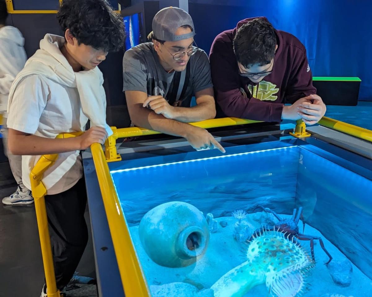 Digging Beneath the Waves