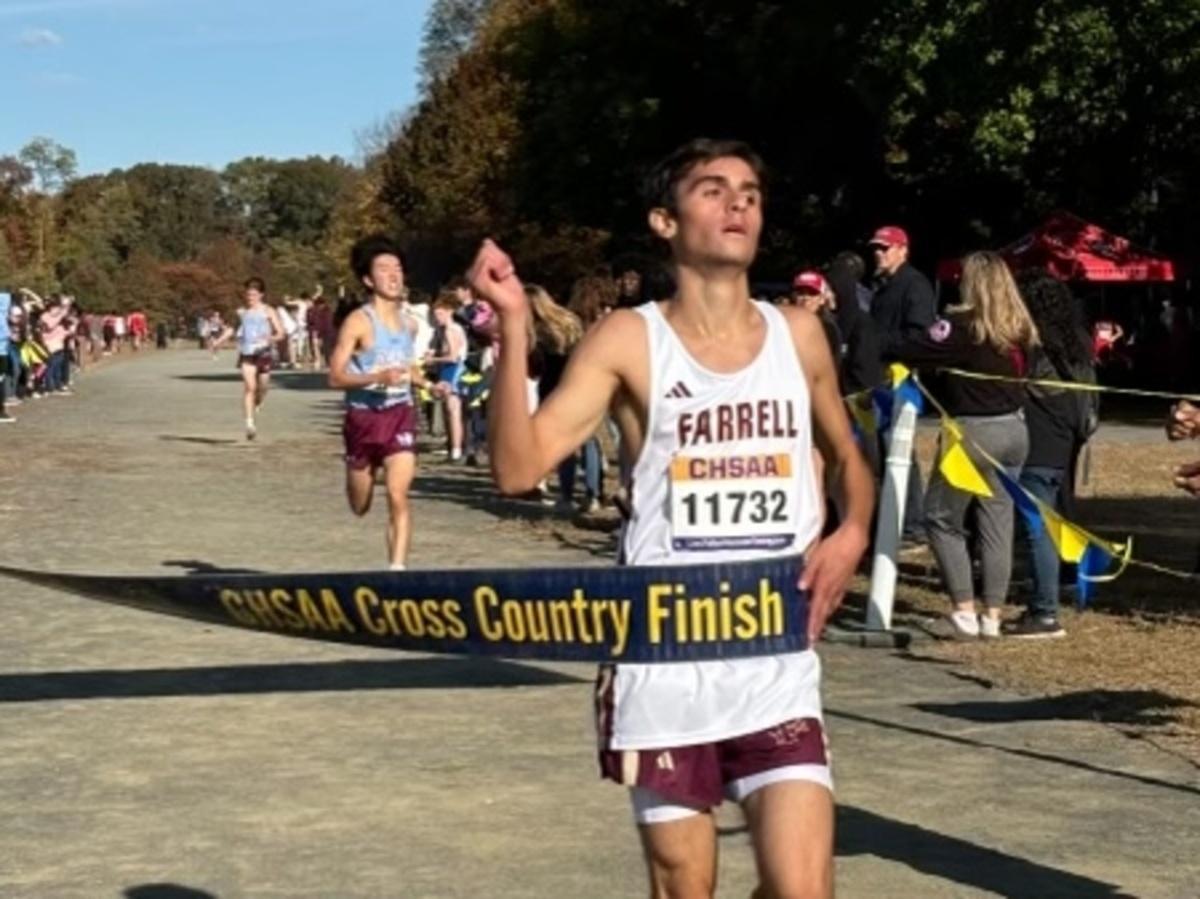 The Island Champ The Island Champ