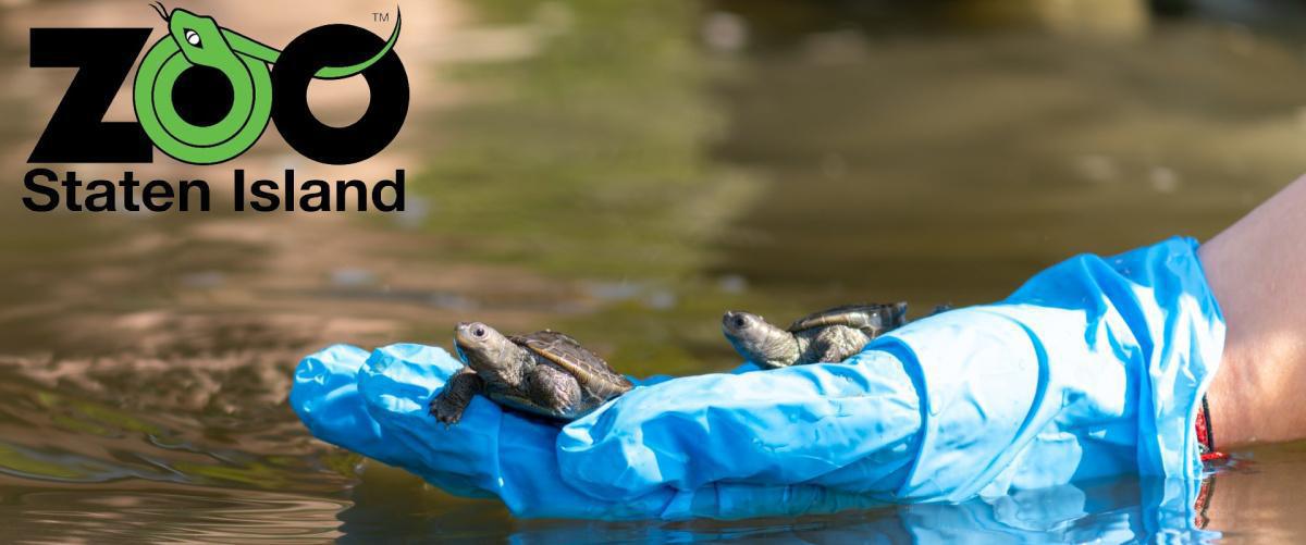 Marine Biology Society Welcomes The Staten Island Zoo Marine Biology Society Welcomes The Staten Island Zoo