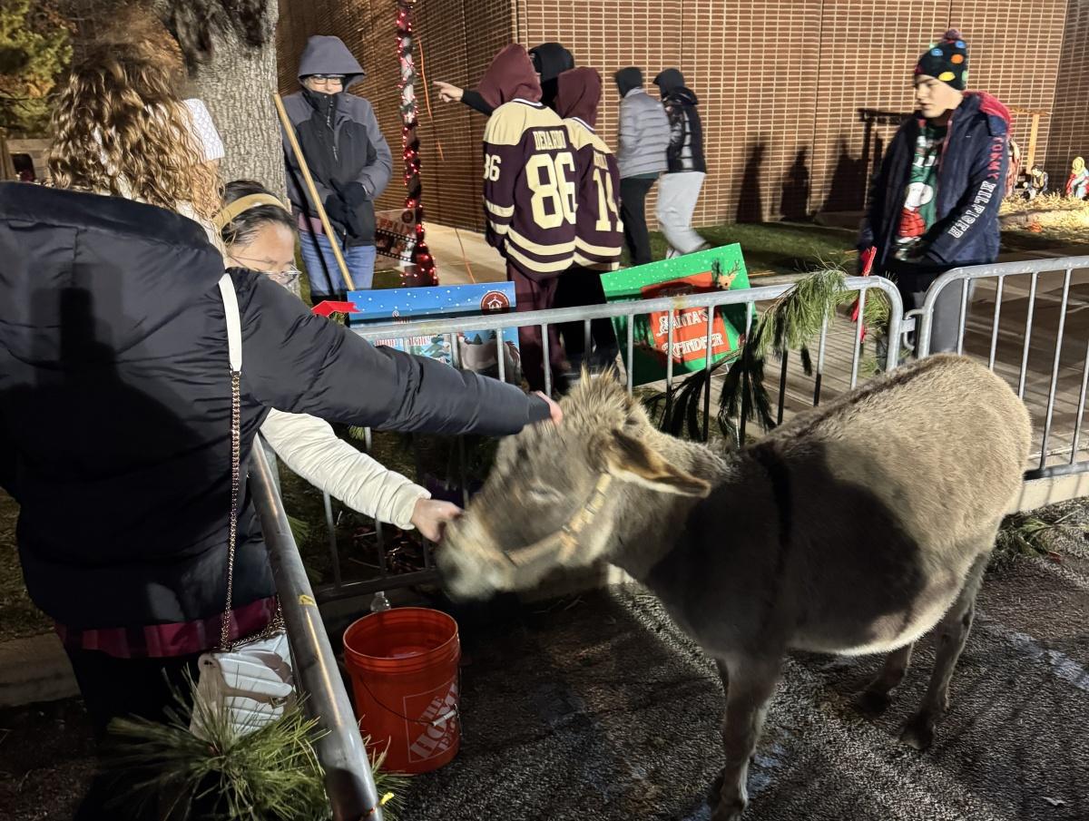 O Christmas Tree (Lighting)