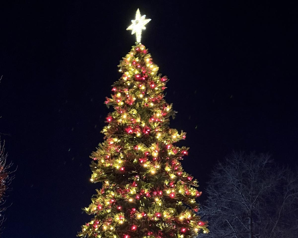 O Christmas Tree (Lighting)