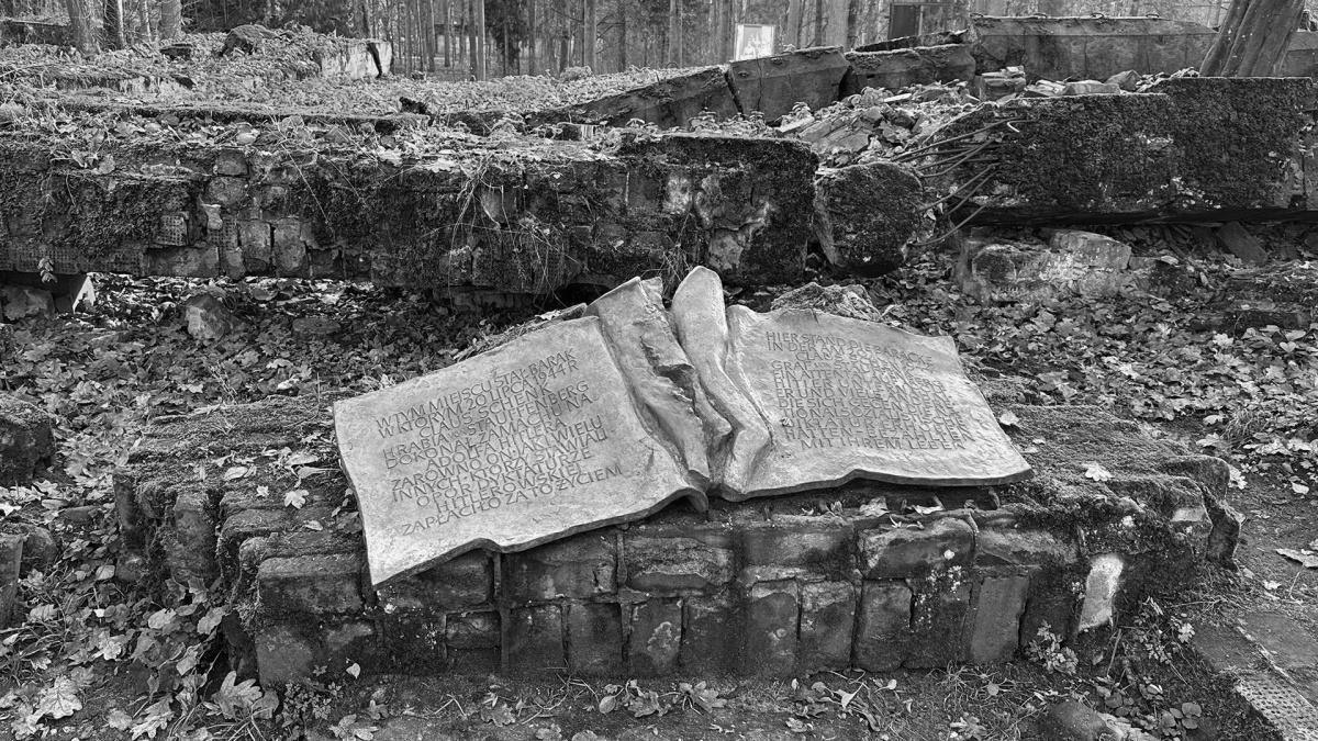 Archaeology Society - WWII Archaeology