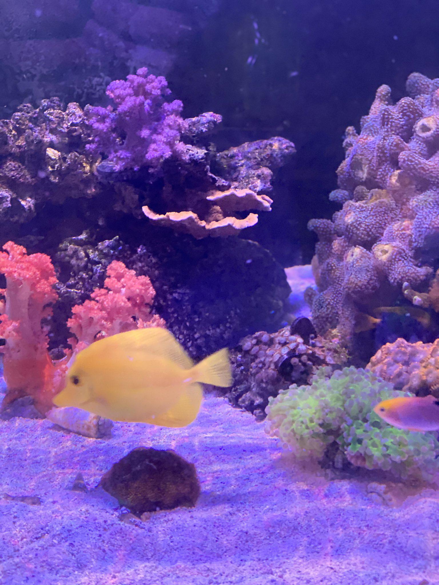 The Marine Biology Society