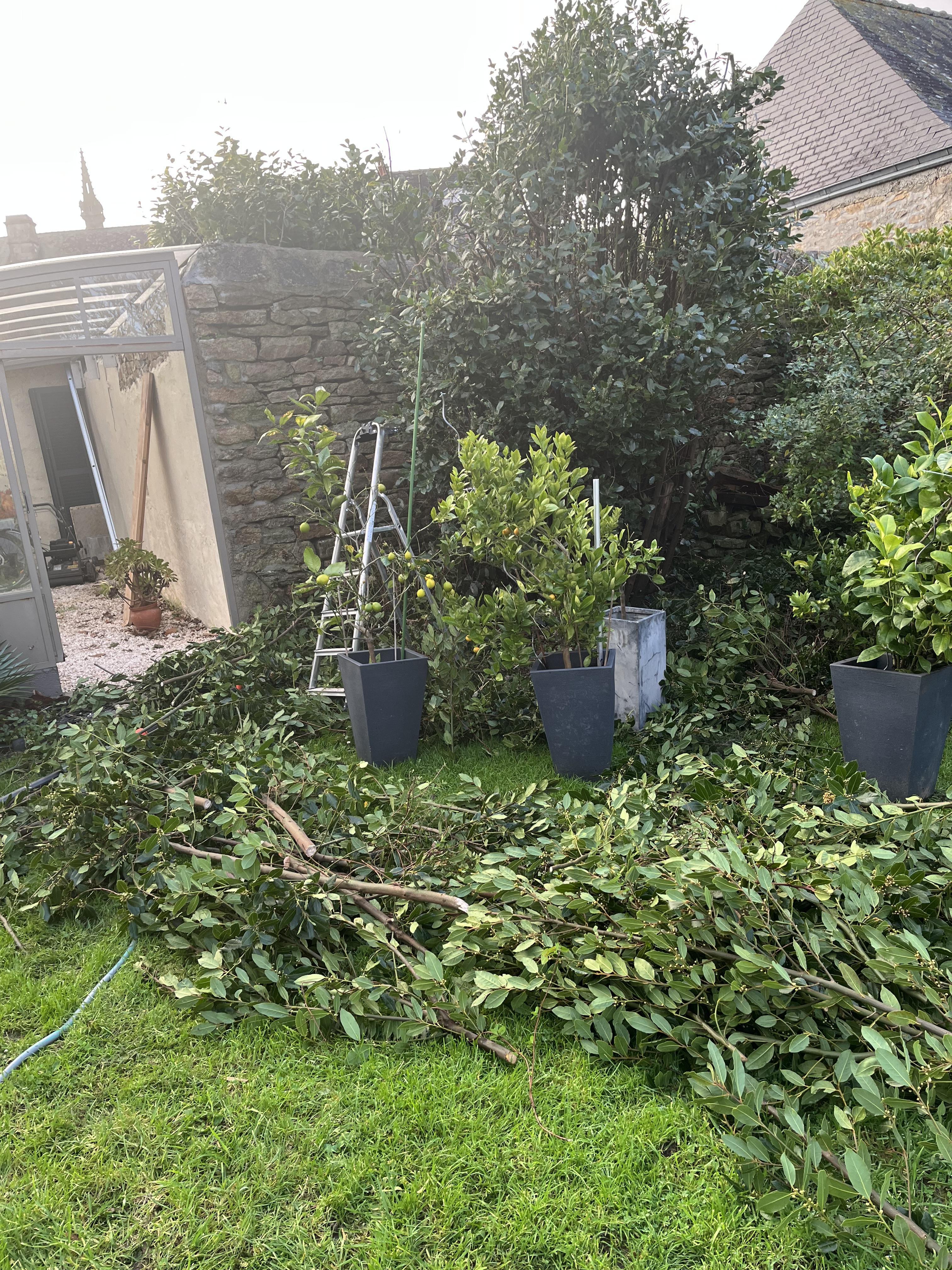 Nettoyage contours serre