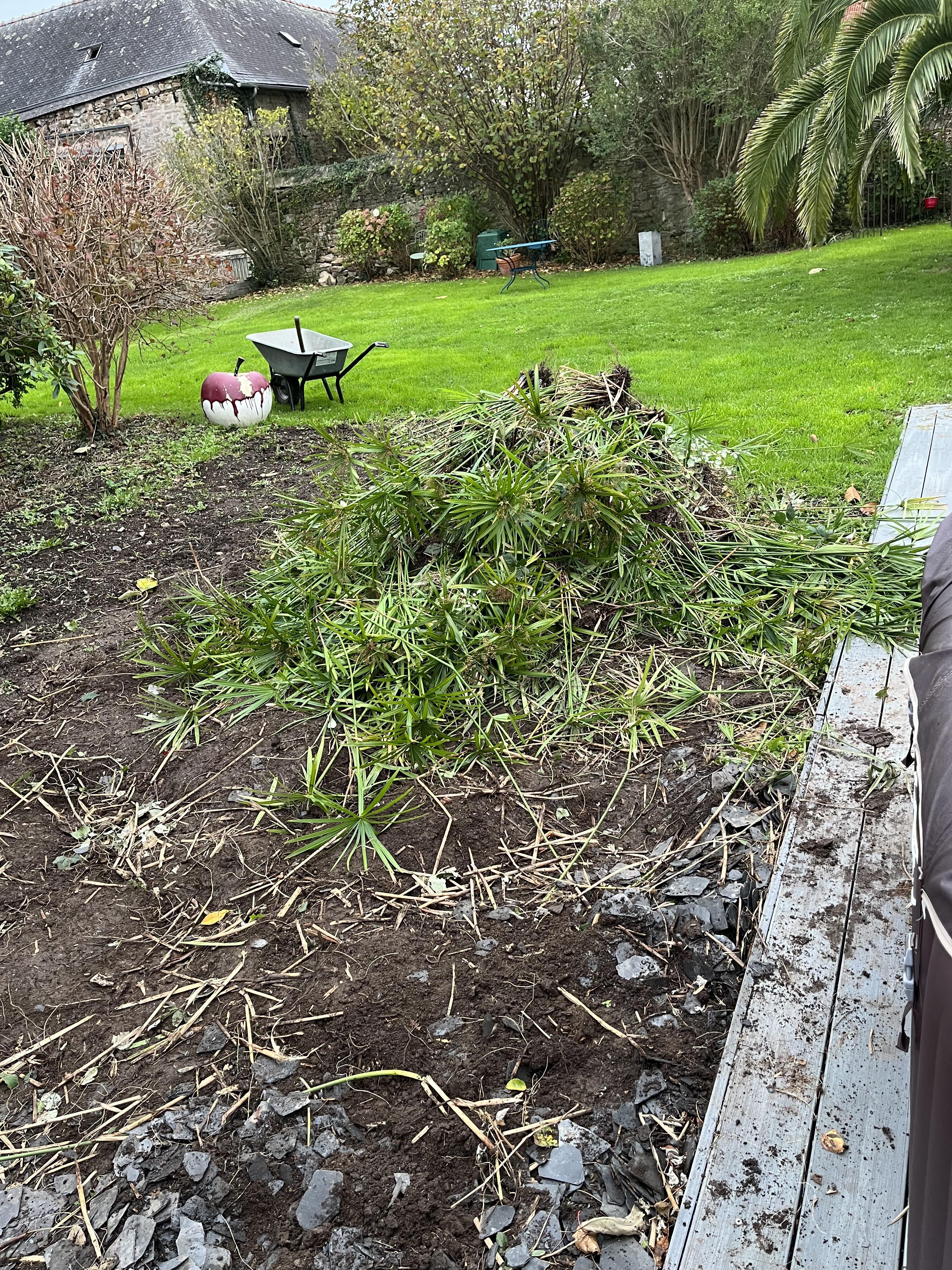 Nettoyage contours piscine