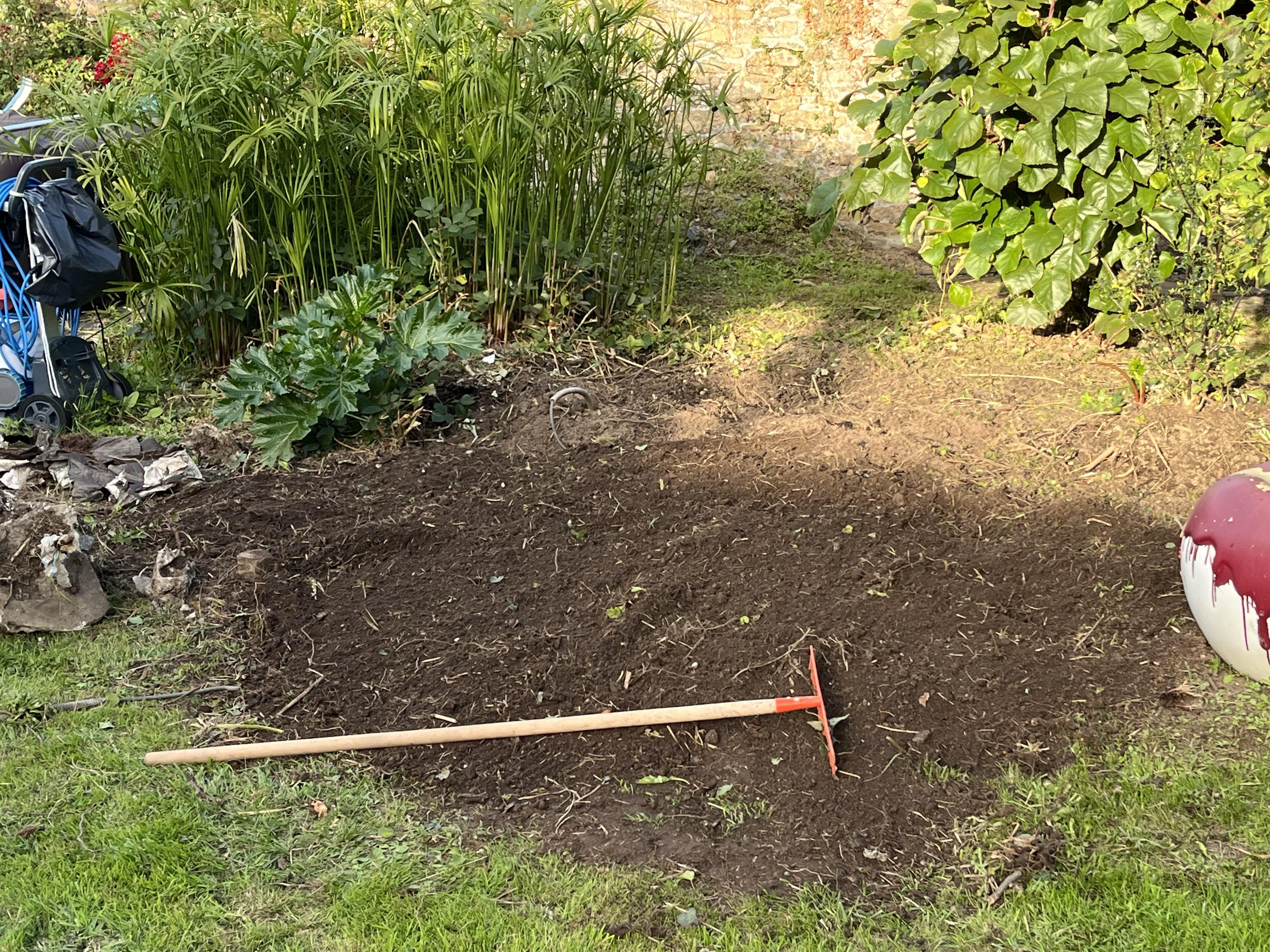 Réaménagement des bosquets