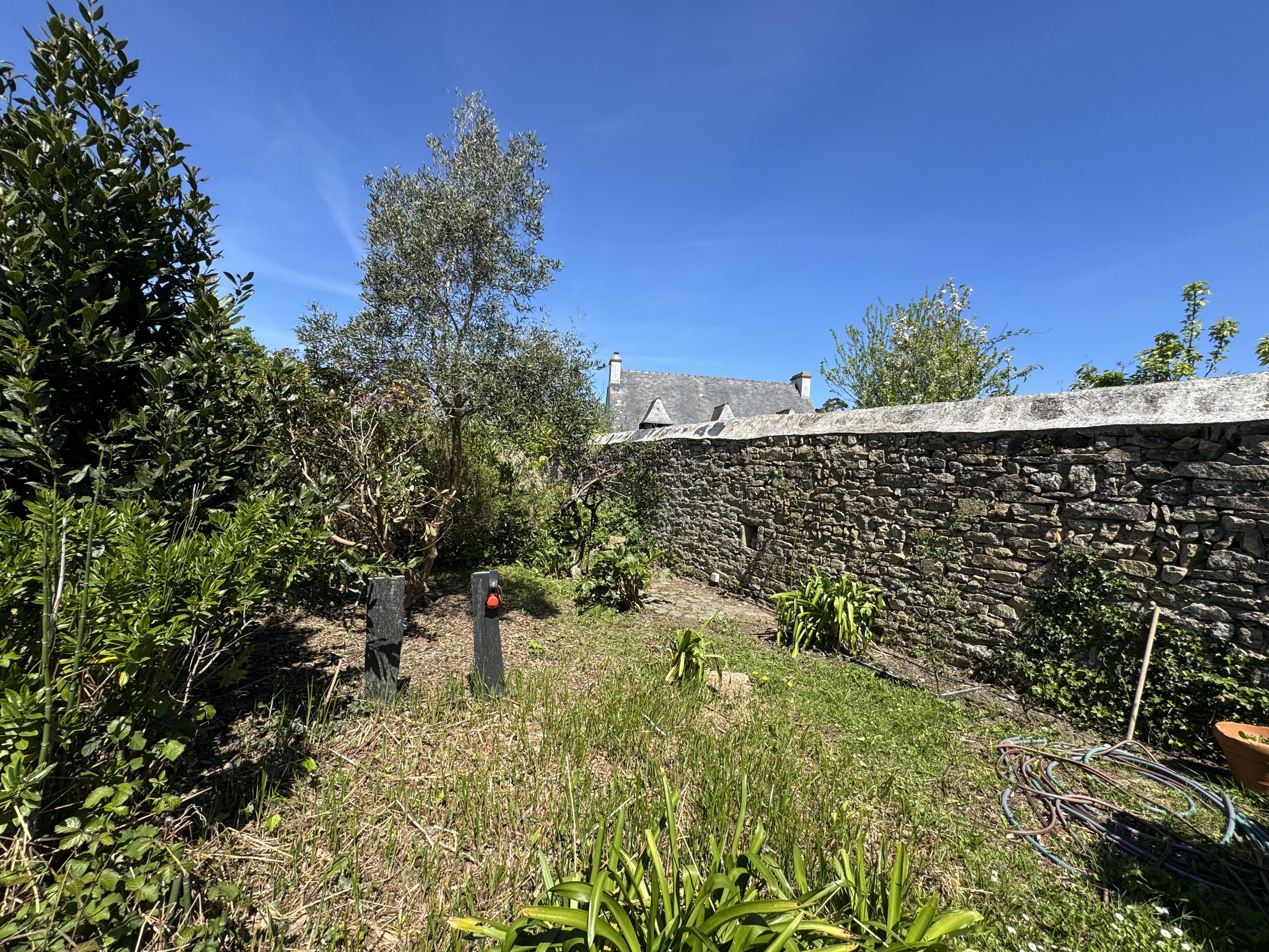 Débroussaillage intensif 