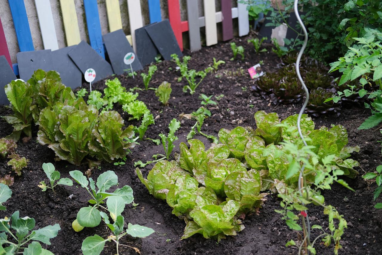 Potager