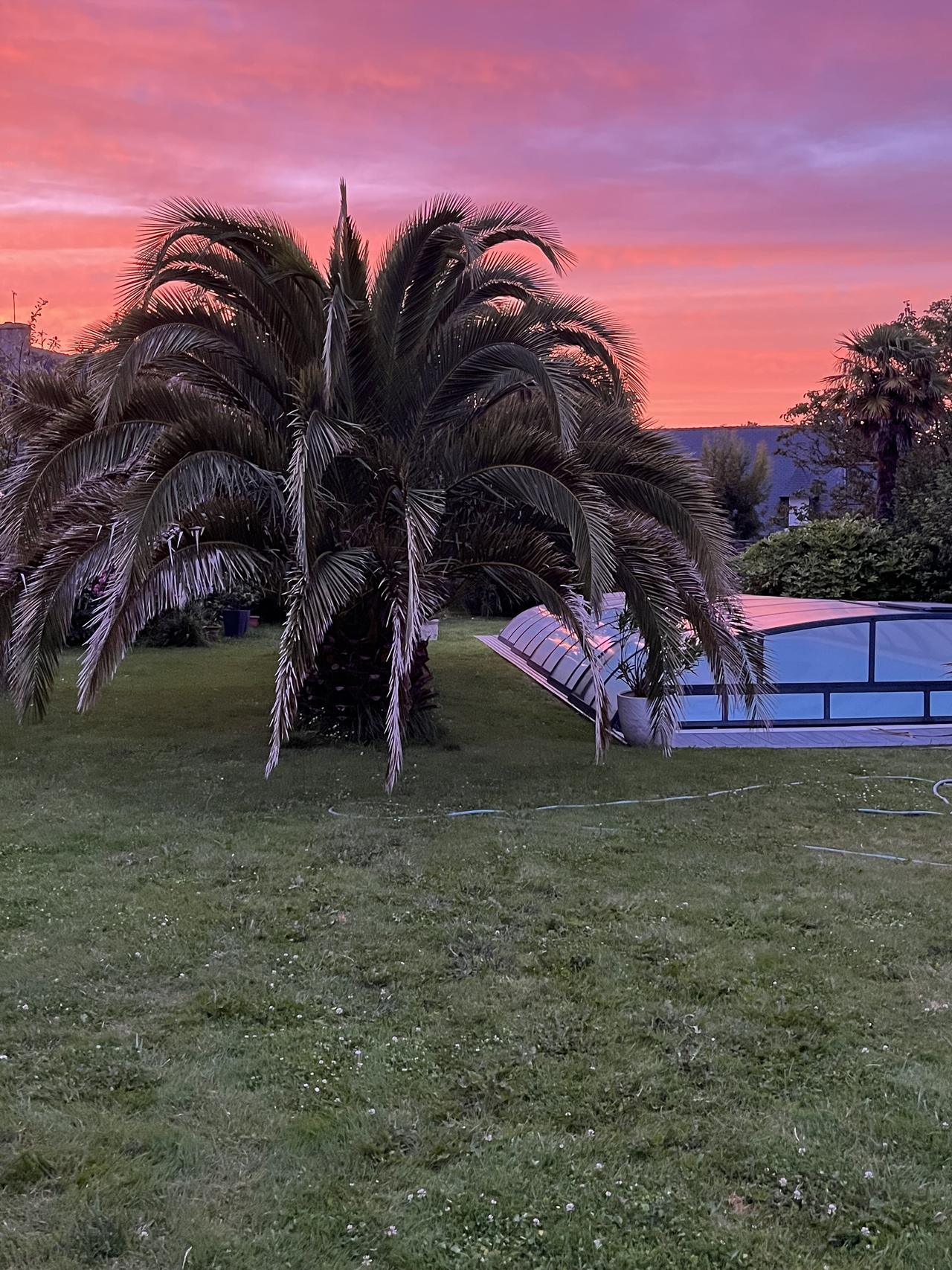 Jardin au coucher du soleil