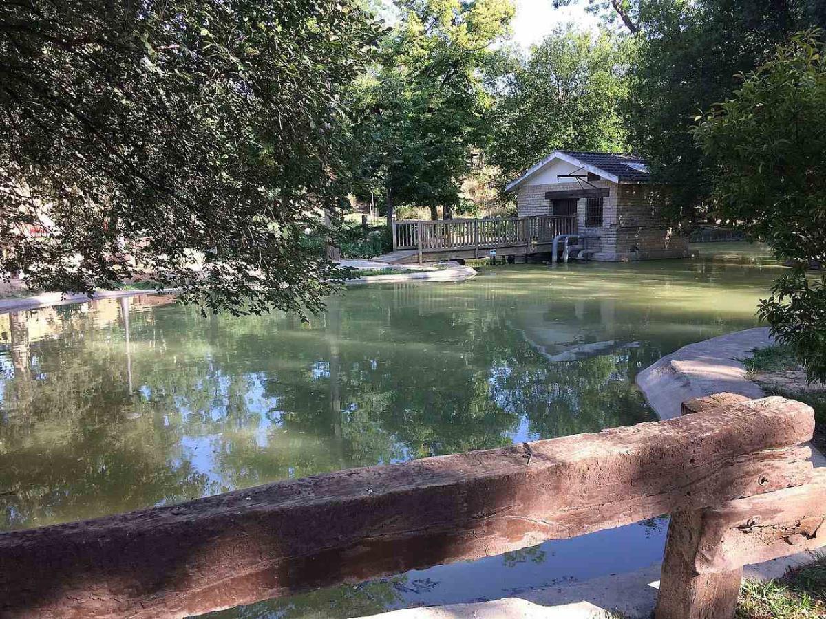 Parque Grande José Antonio Labordeta Parque Grande José Antonio Labordeta