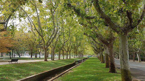 Parque Grande José Antonio Labordeta