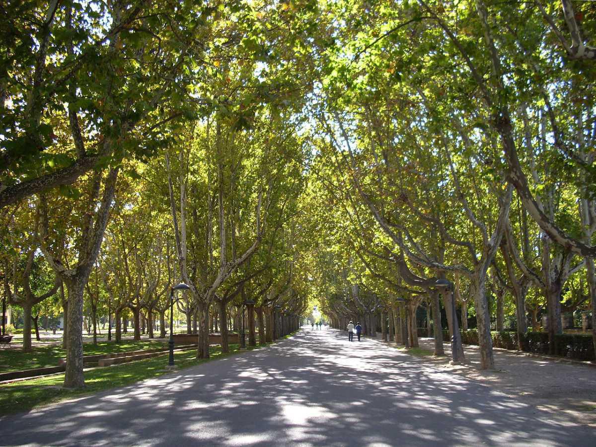 Parque Grande José Antonio Labordeta Parque Grande José Antonio Labordeta