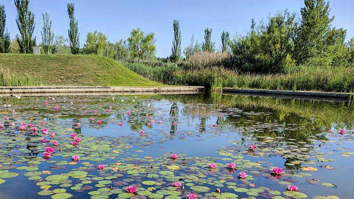 Parque del Agua Luis Buñuel