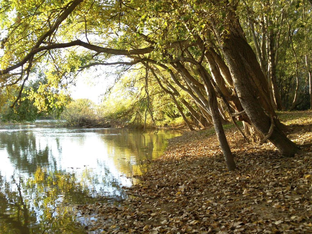 Parque del Agua Luis Buñuel