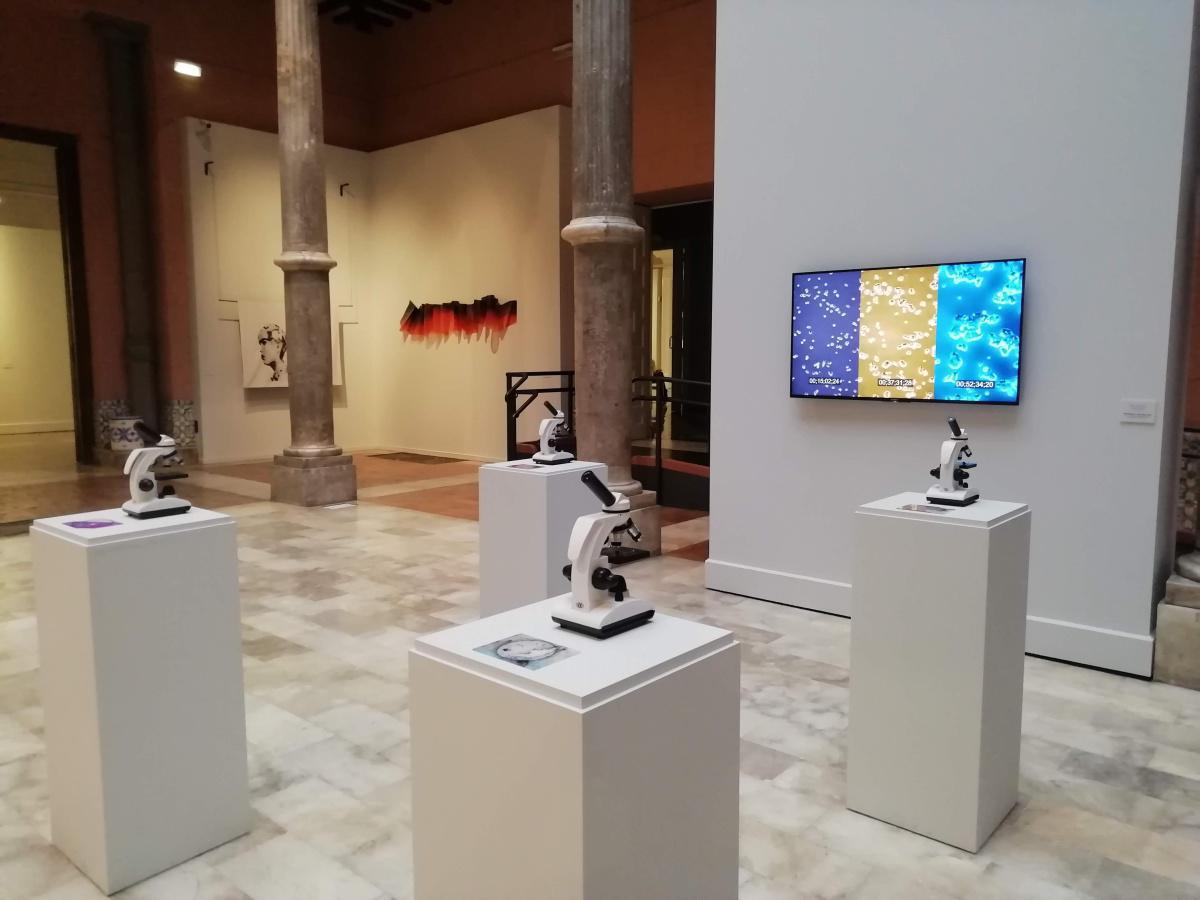 Palacio de Sástago Palacio de Sástago