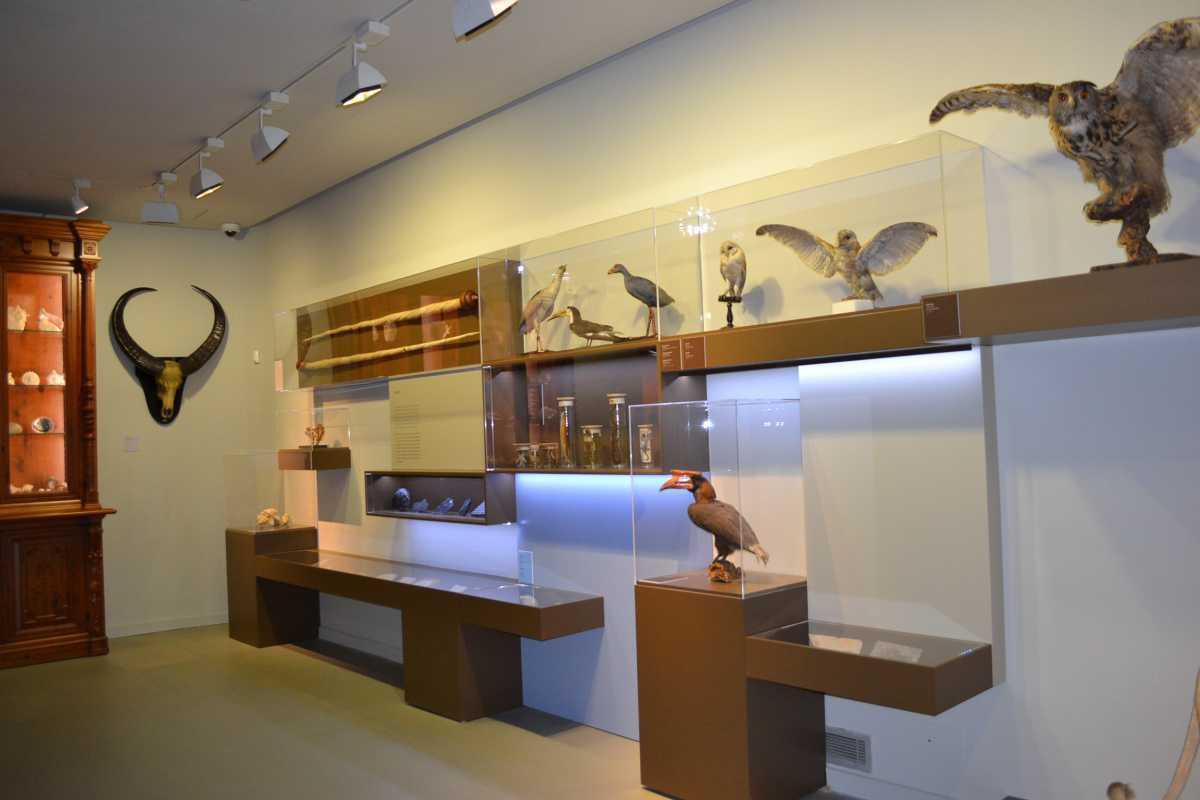 Museo de Ciencias Naturales Museo de Ciencias Naturales