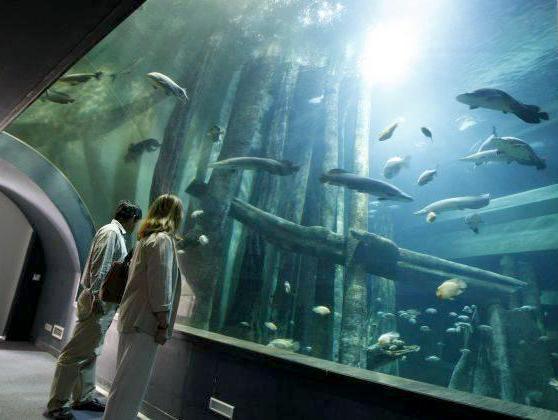 Acuario fluvial de Zaragoza Acuario fluvial de Zaragoza