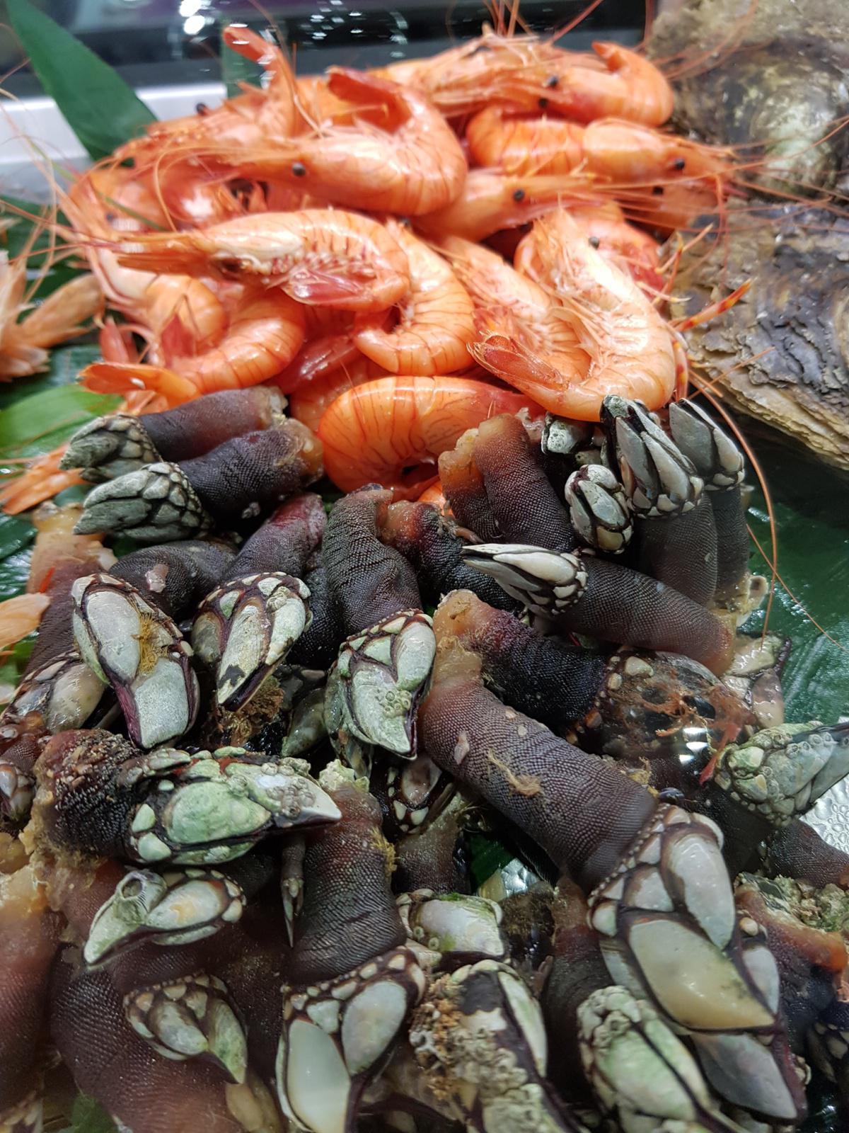 Casa El Pescatero