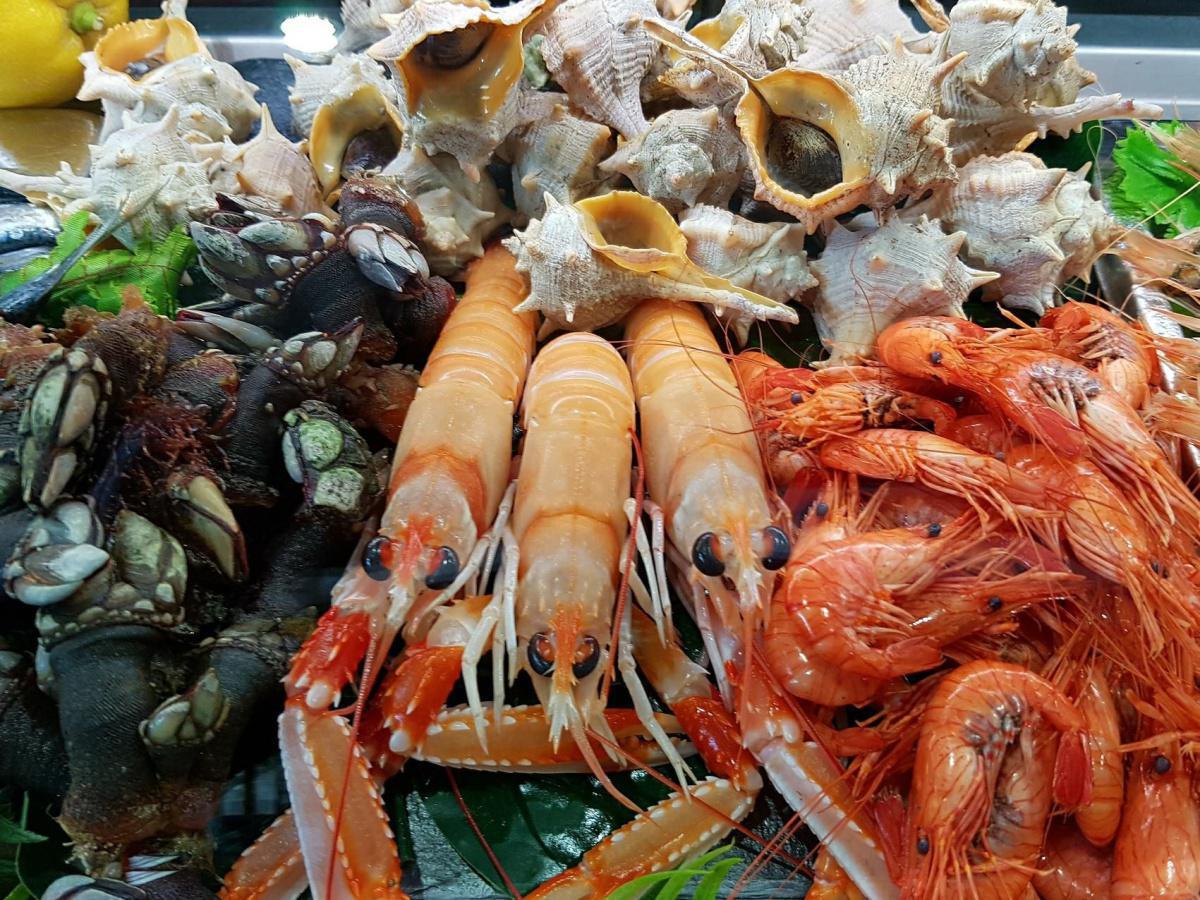 Casa El Pescatero