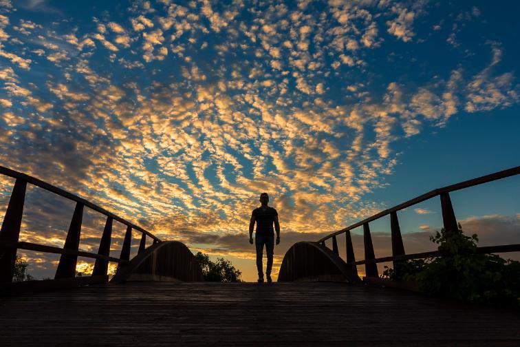 Daniel Nebreda Daniel Nebreda