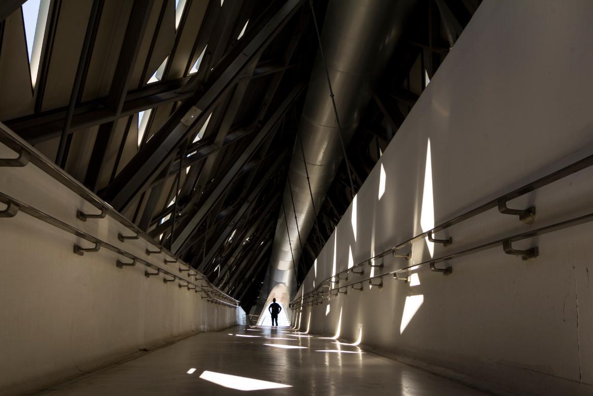 Daniel Nebreda Daniel Nebreda