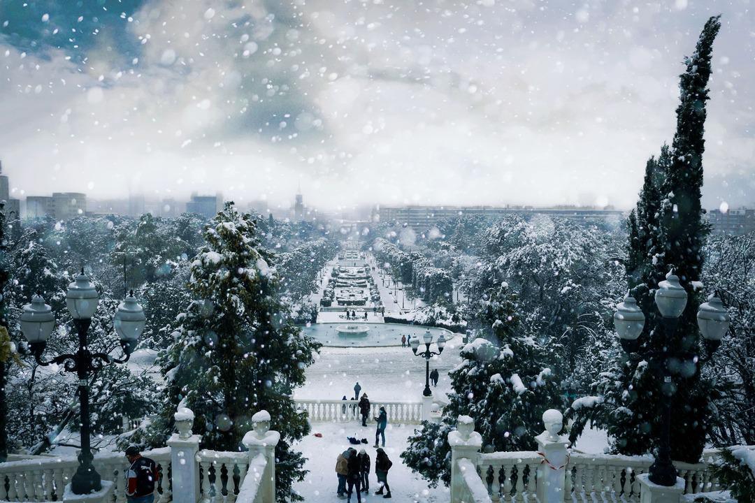 David Secan David Secan