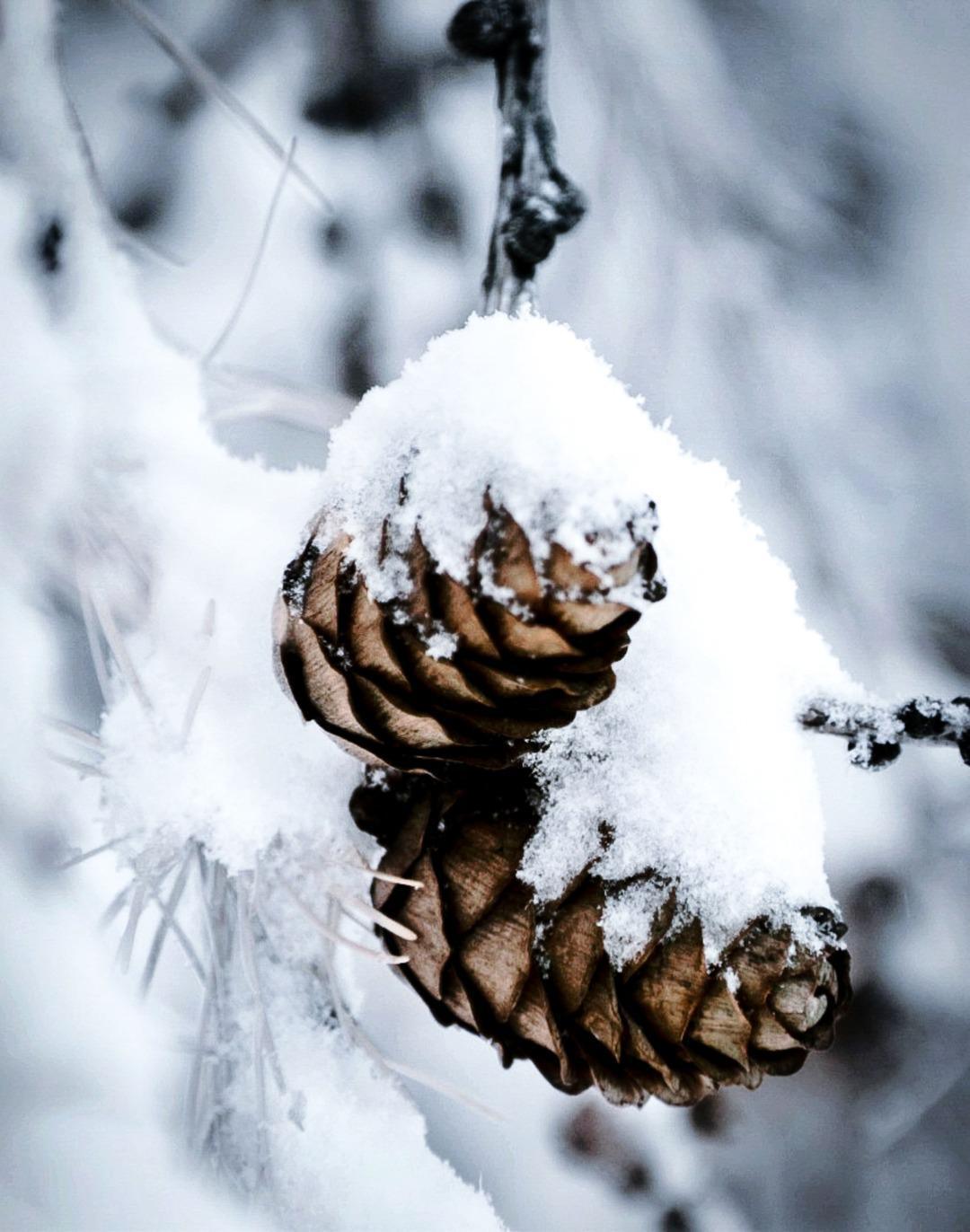 David Secan David Secan