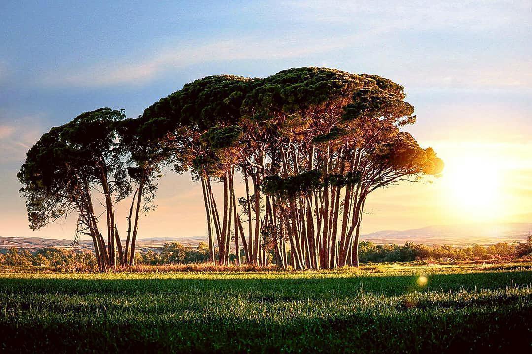 David Secan David Secan