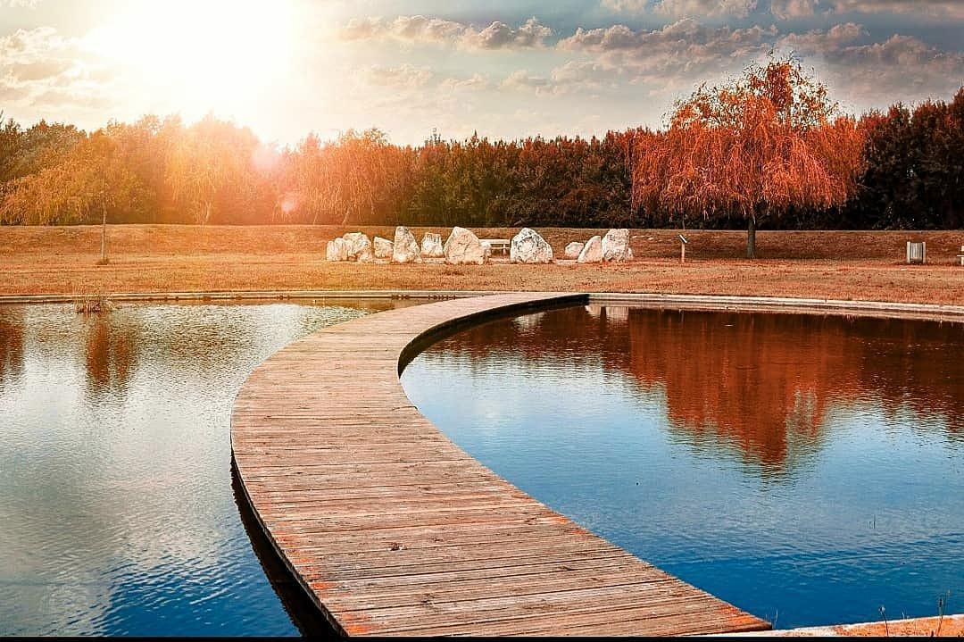 David Secan David Secan