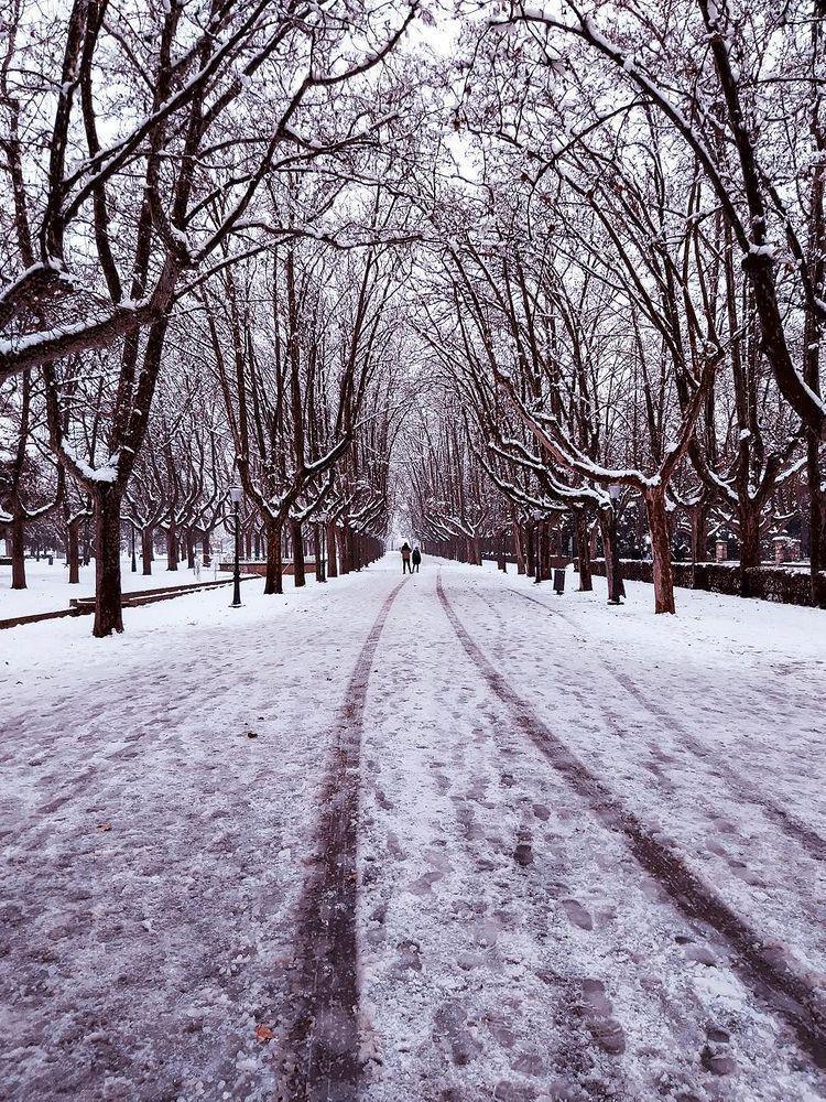 David Secan David Secan