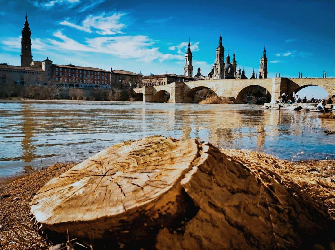 David Secan David Secan